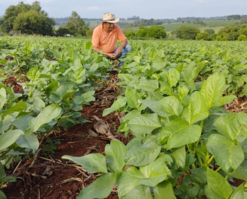 Derecho Ambiental y Recursos Naturales