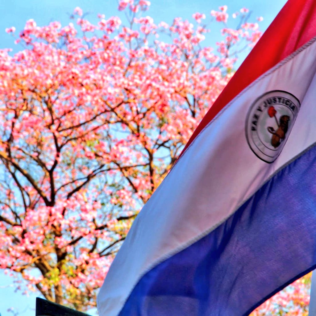 Pasmor Abogados, trayectoria, bandera paraguaya